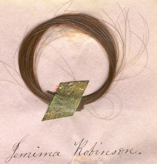 hair clipping from Jemima Robinson