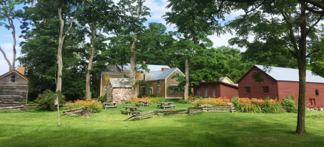 Robinson Historic Home Backyard