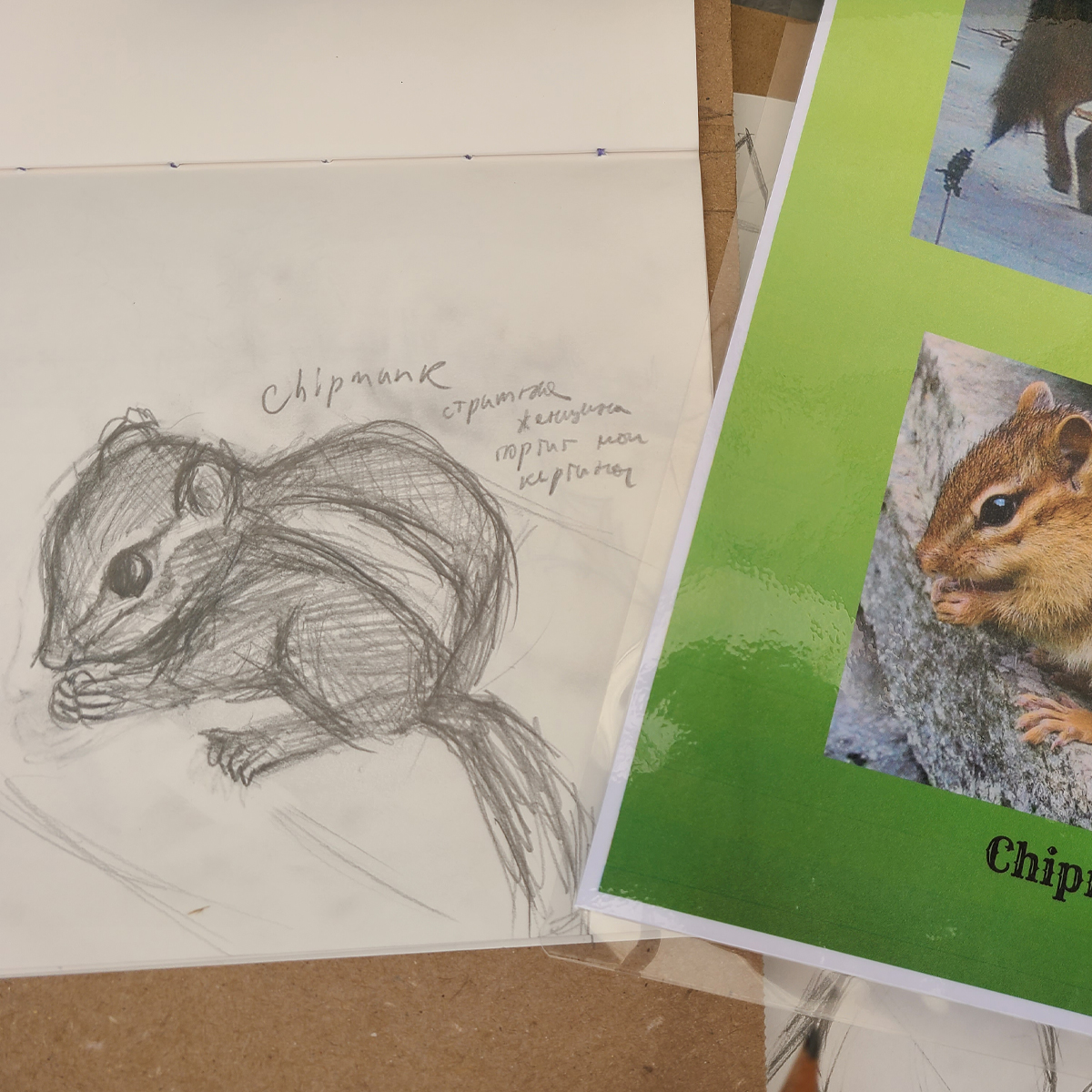 Summer Camp — Artists of Rokeby 2026