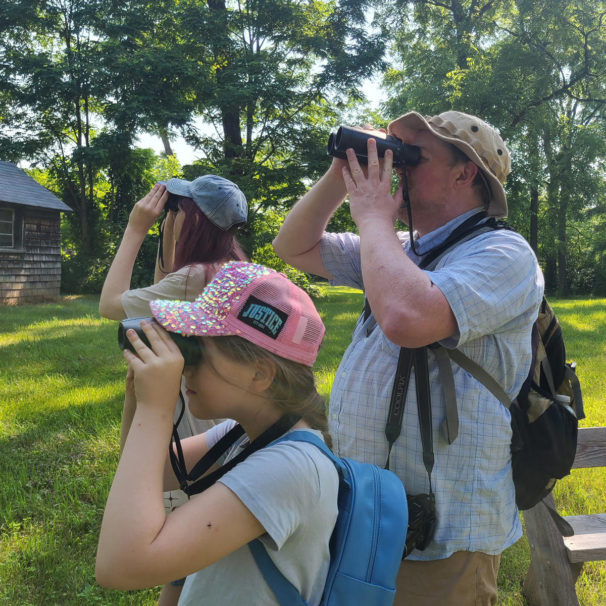 Summer Camp — Artists of Rokeby 2026