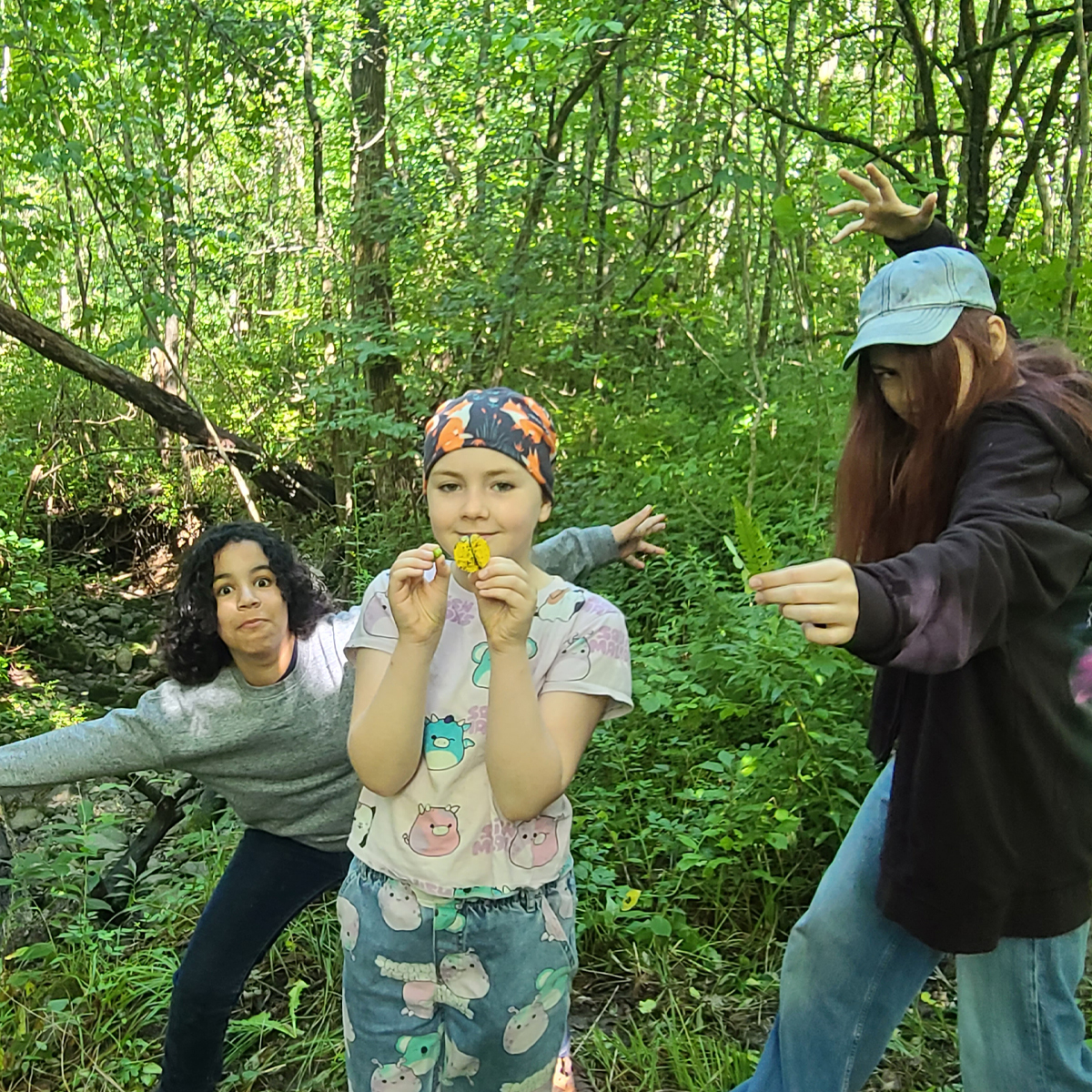 Summer Camp — Artists of Rokeby 2026