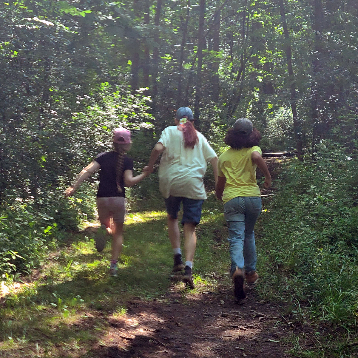 Summer Camp — Artists of Rokeby 2026