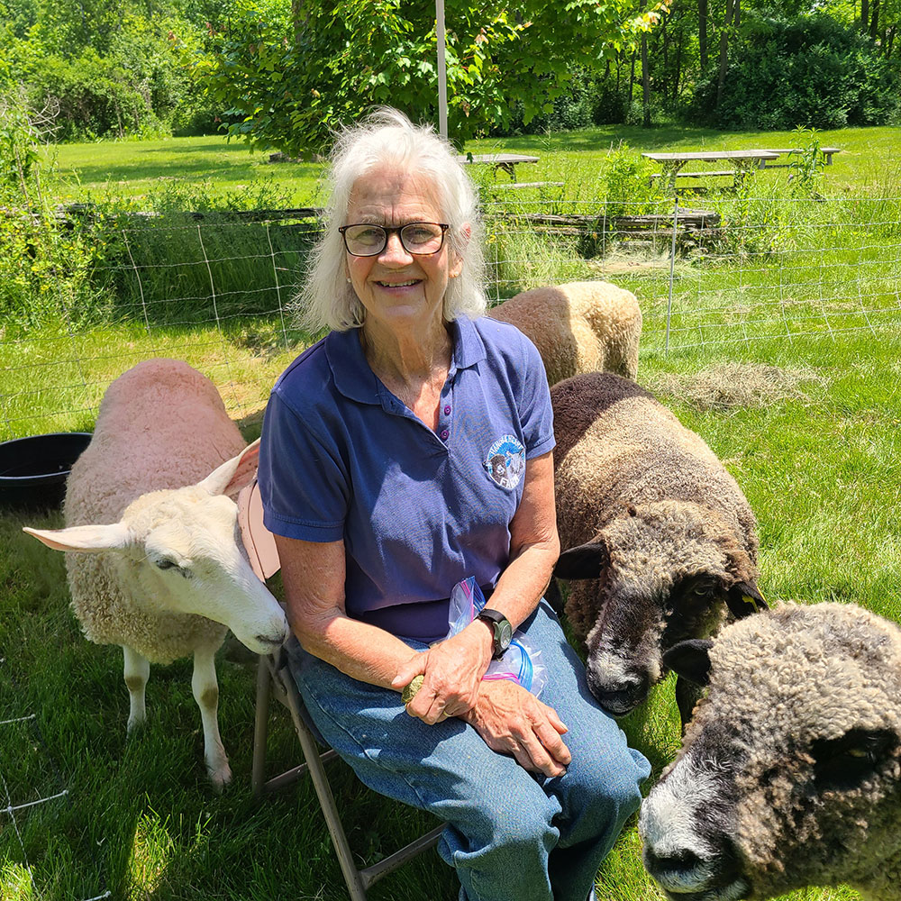 Sheep & Wool Day at Rokeby 2026