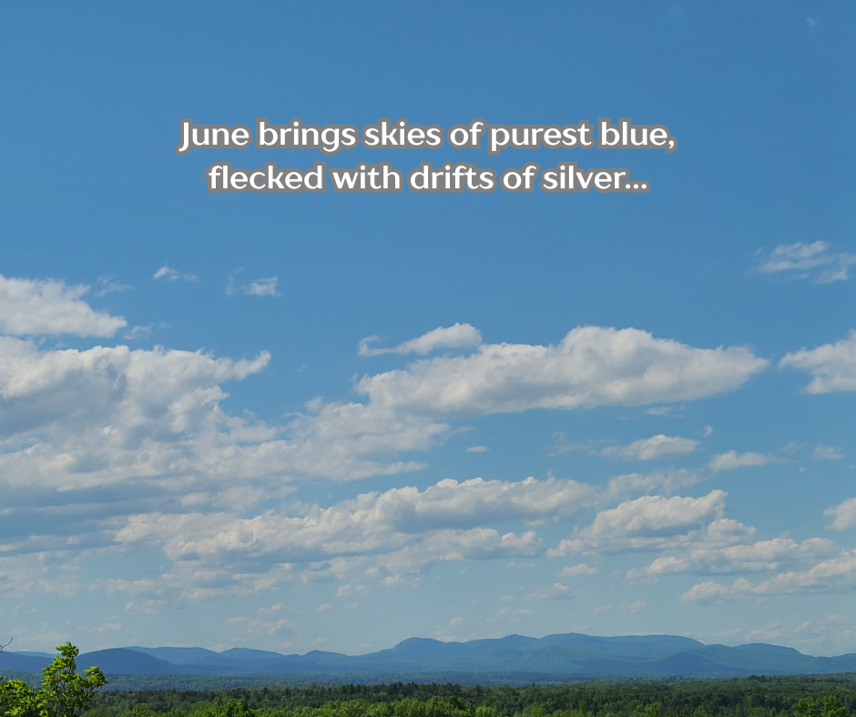 June at Rokeby